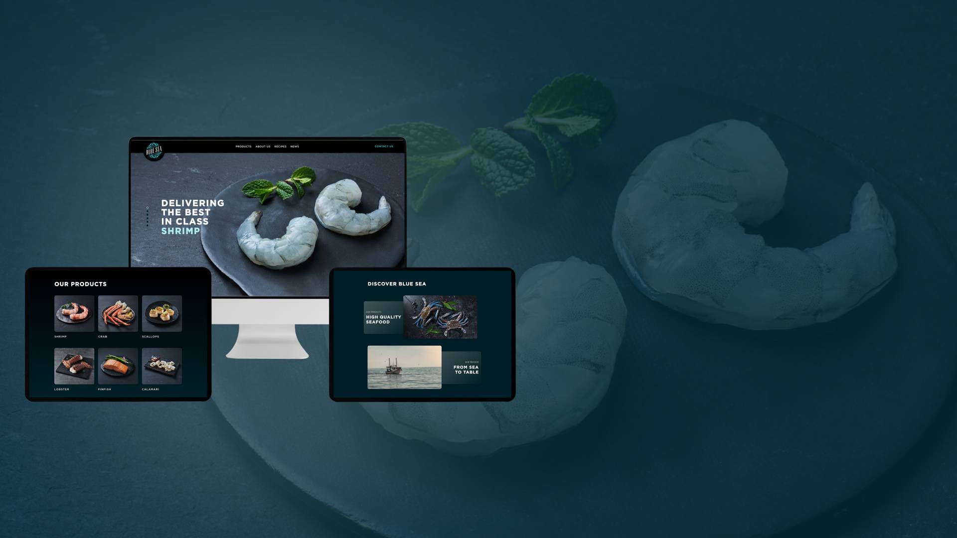 Blue Sea Products portfolio showcase